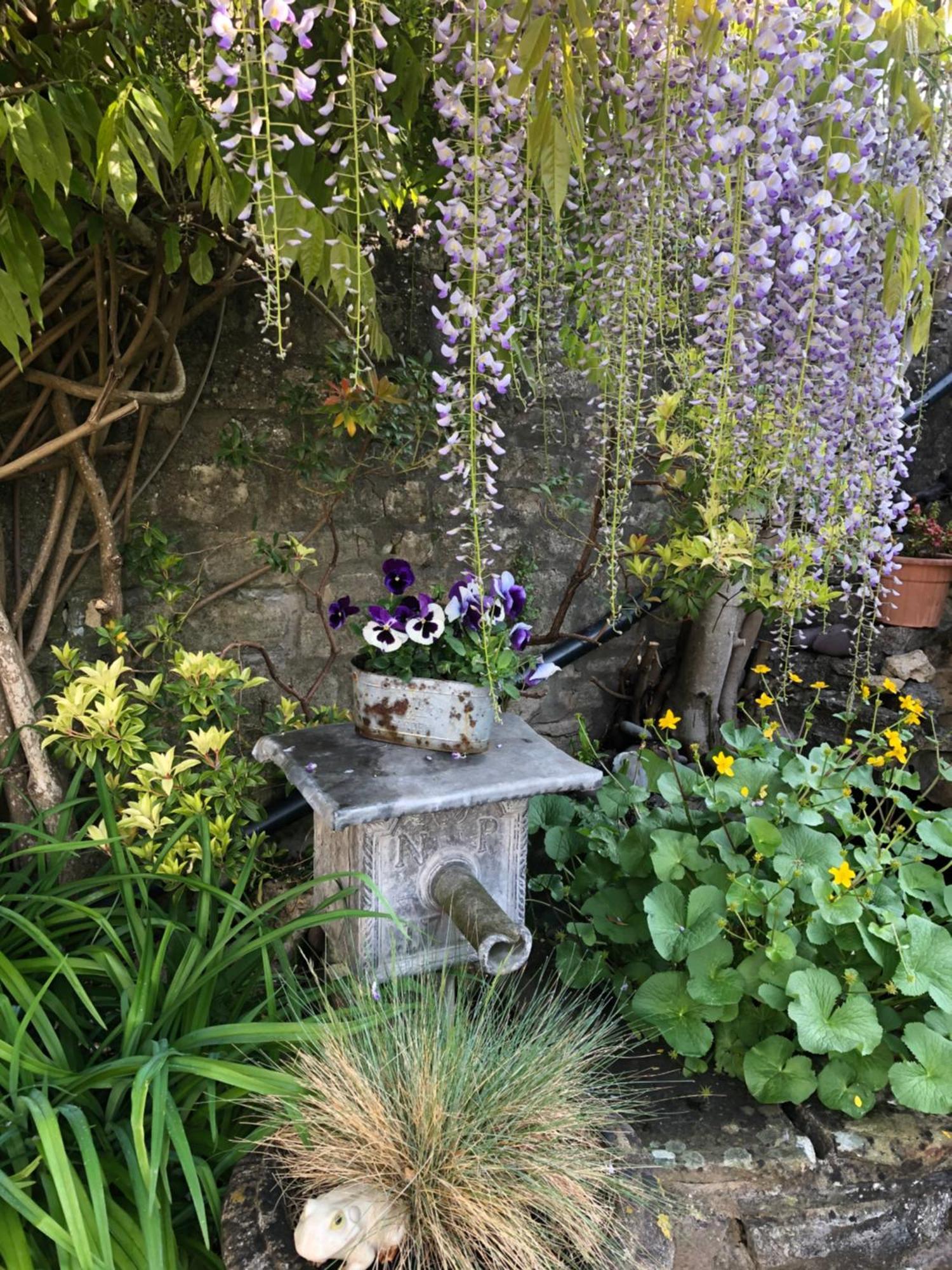 Devonshire House 4* Бат